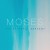 Moses: The Faithful Servant